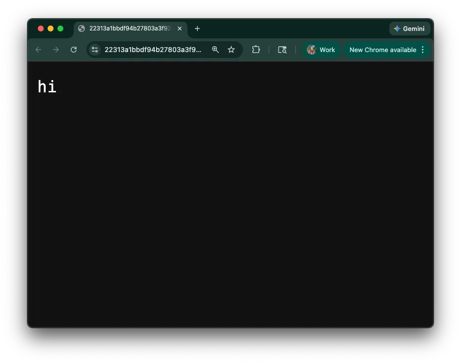 Deno Sandbox server output